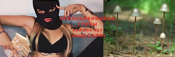 тгк Кинешма