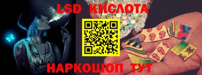 стаф Берёзовский