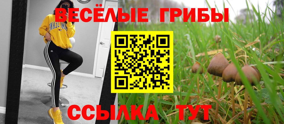 Галлюциногенные грибы мицелий  Вход с VPN  Бийск 