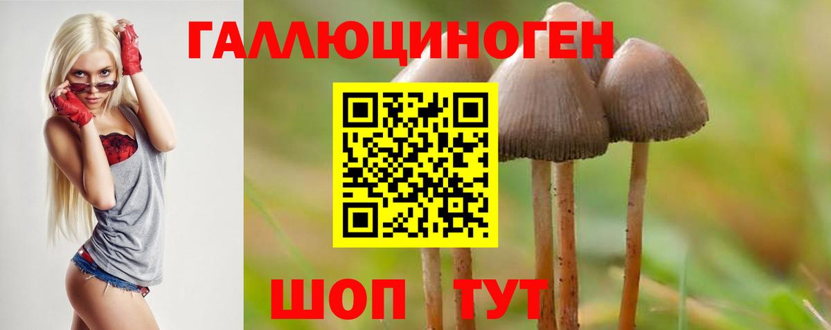 Галлюциногенные грибы прущие грибы  Галлюциногенные грибы MAGIC MUSHROOMS  Бийск 