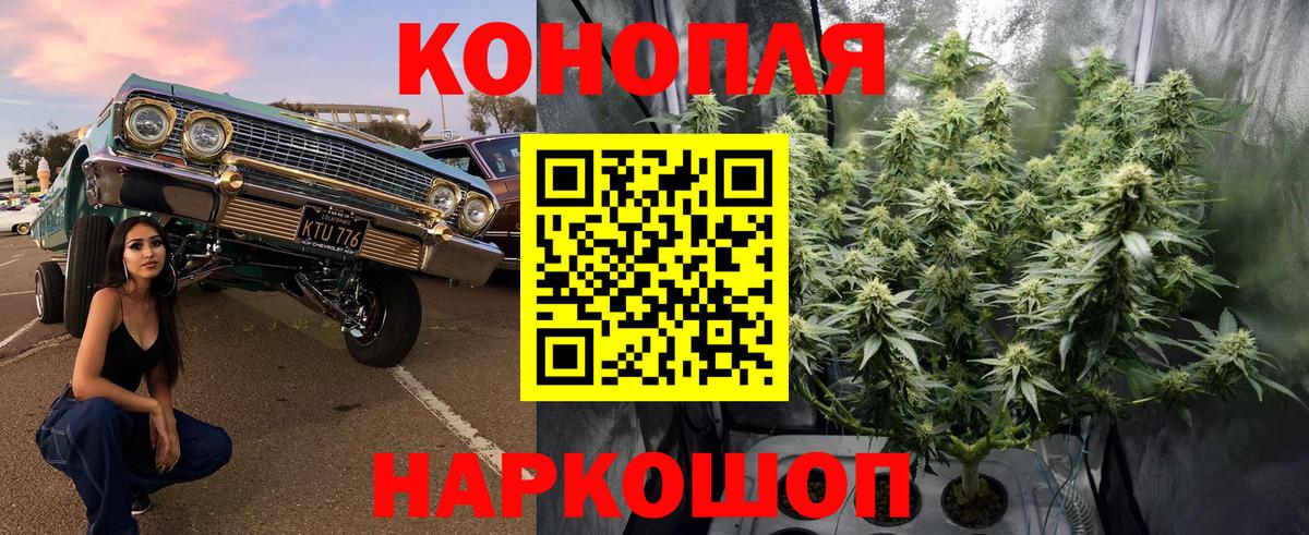Каннабис OG Kush Бийск